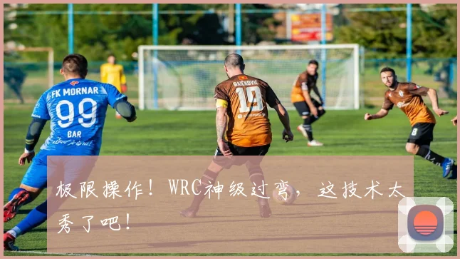 极限操作！WRC神级过弯，这技术太秀了吧！
